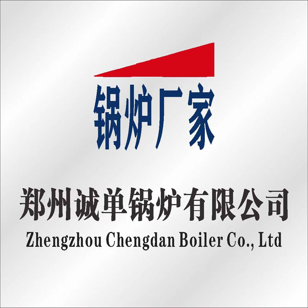 电热水锅炉生产厂家 郑州诚单锅炉有限公司